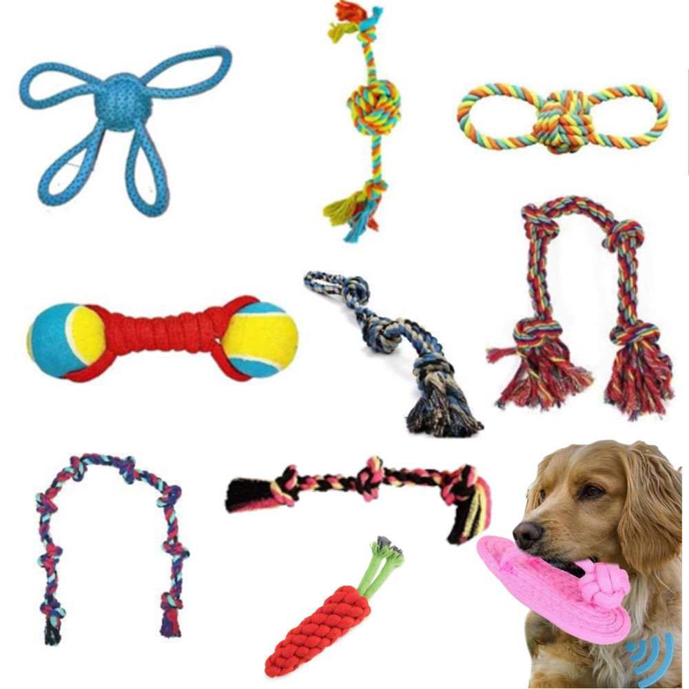 Pet Toys for Export