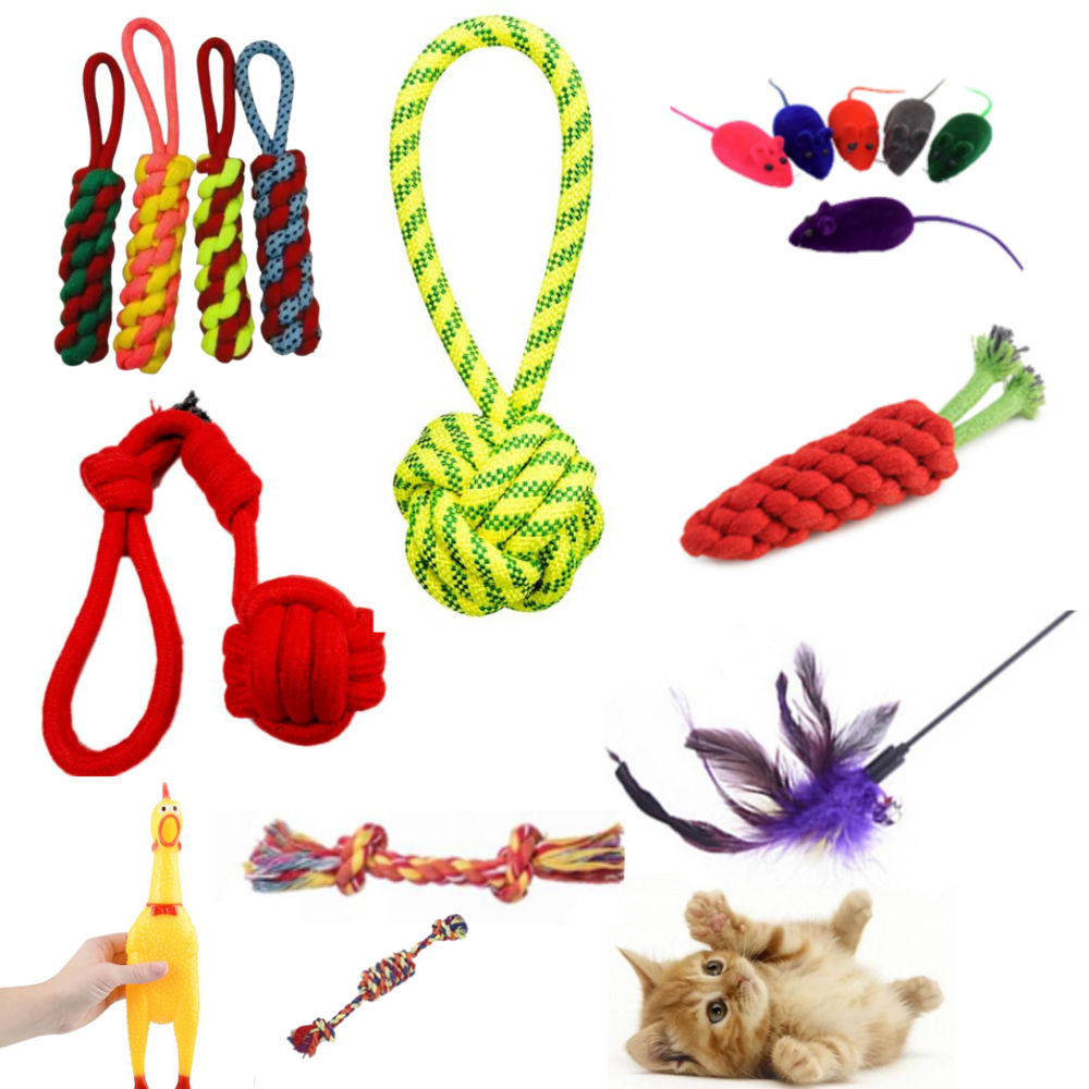 Pet Toys for Export