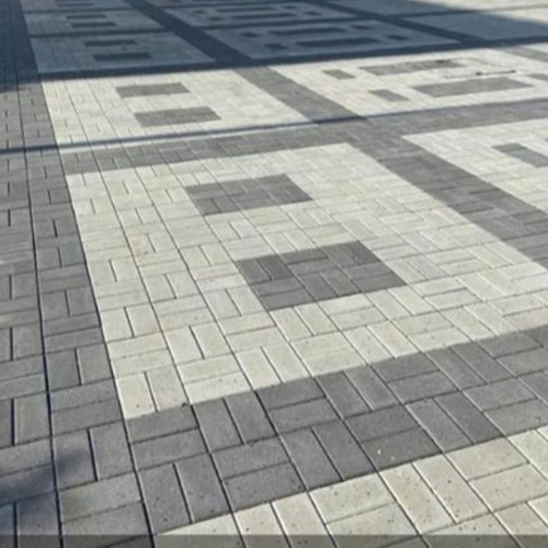 250x125 MM Rectangle Paver Block