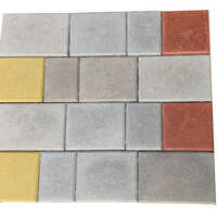 60 MM Combi Paver Block