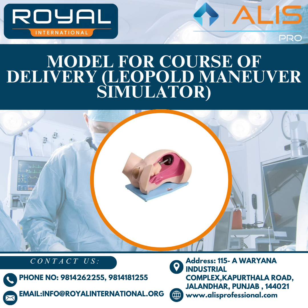 Model for Course of Delivery (Leopold Maneuver Simulator)