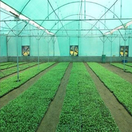 फैन और पैड पर्यावरण नियंत्रण ग्रीनहाउस