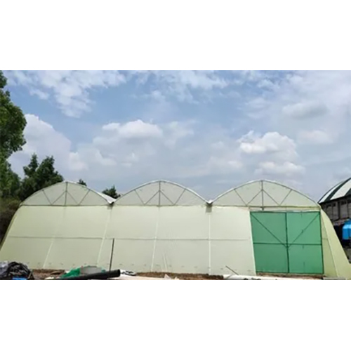 टनल प्रकार पॉलीहाउस - गोविन्द ग्रीनहाउस पवत. ल्टड.