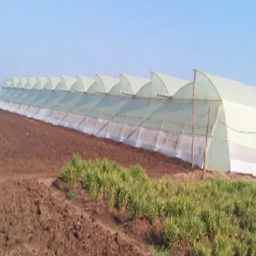 Polyhouse Plastic Film | Govind Greenhouse Polyhouse