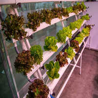 Hydroponic Fodder System - Feature: Durable