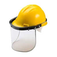 Helmet Mounted Face Shield