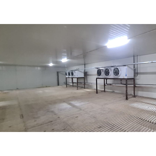 Industrial Cold Storage Room