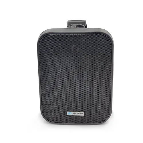 5 Inch Passive Wall Mount Pair Speakers - Color: Black