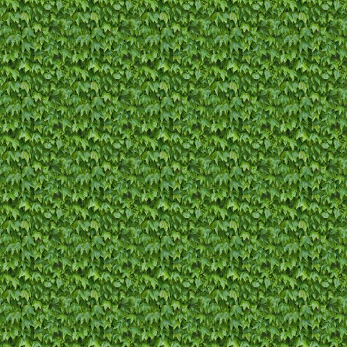Test Products - Color: Black