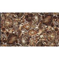 Brown Petrified Wood - Size: Standard Sizes And Thickness