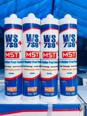 Ws789 MST weather proof silicon sealent