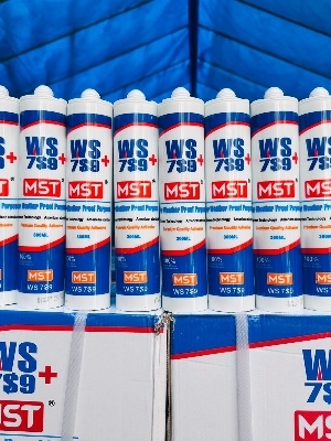 Ws789 Mst Weather Proof Silicon Sealant