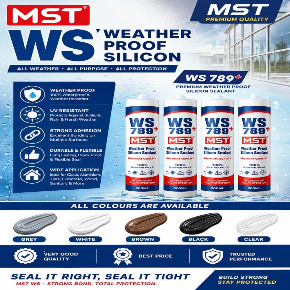 Ws789 Mst Weather Proof Silicon Sealant