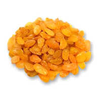 Yellow Raisins