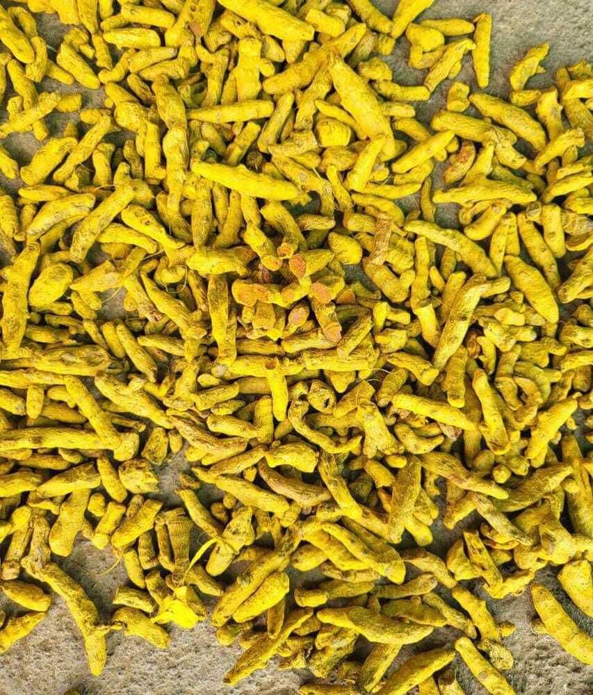 Single Polish Finger