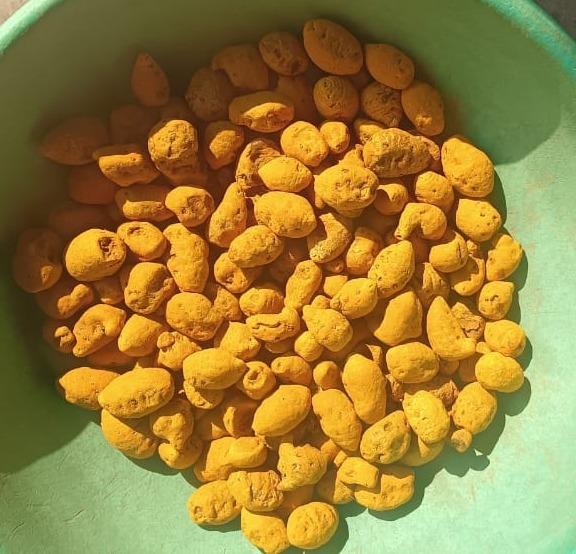  Whole Turmeric Domestic