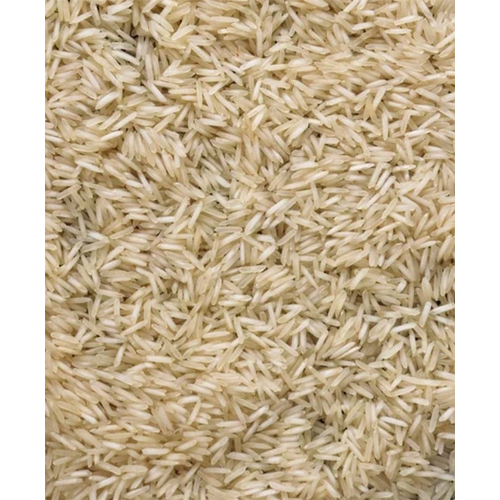 1121 Steam Basmati Rice - Cultivation Type: Common