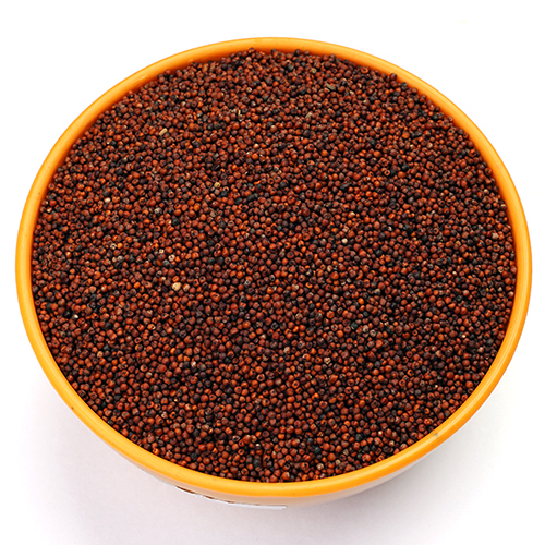 Finger Millet