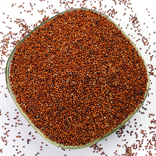 Finger Millet