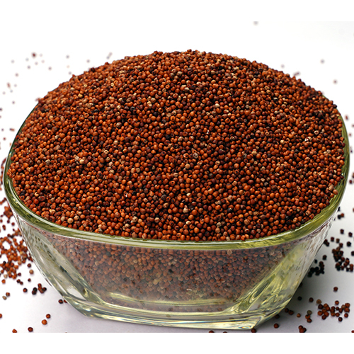 Finger Millet