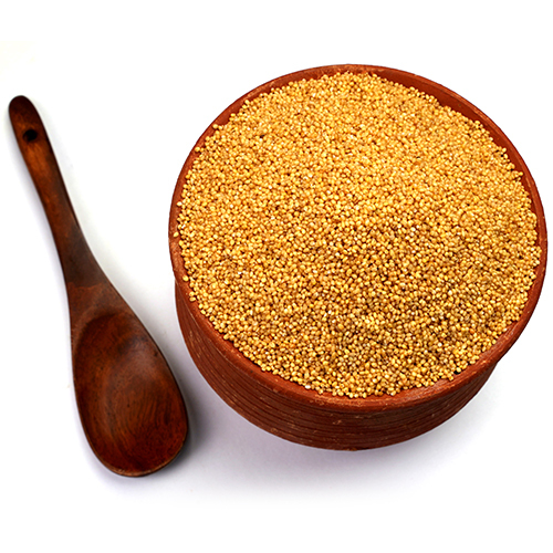 Foxtail Millet Seeds