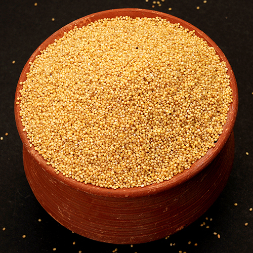 Foxtail Millet Seeds
