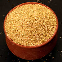 Foxtail Millet Seeds