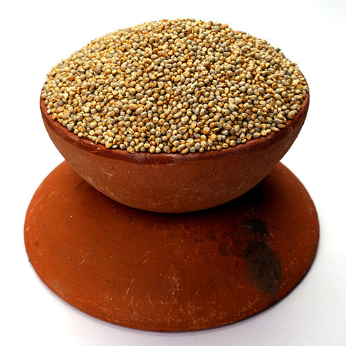 Bajra Seeds - Cultivation Type: Common