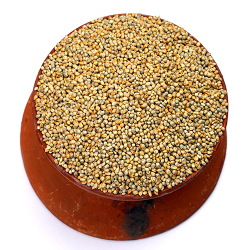 Bajra Seeds