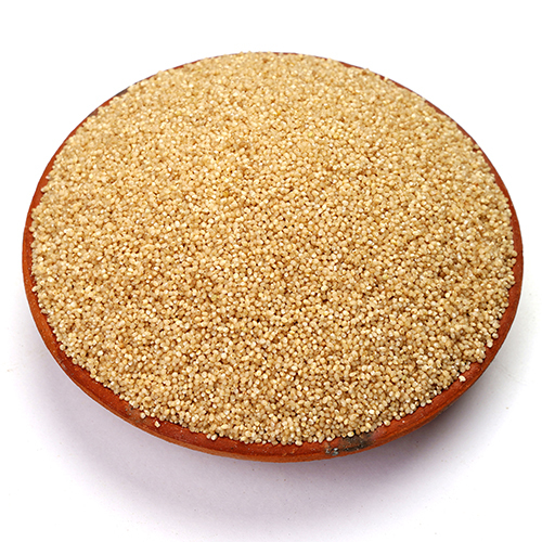Proso Millet - Cultivation Type: Common