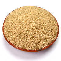 Proso Millet