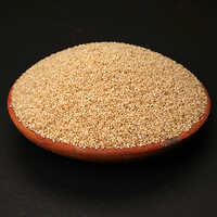 Proso Millet
