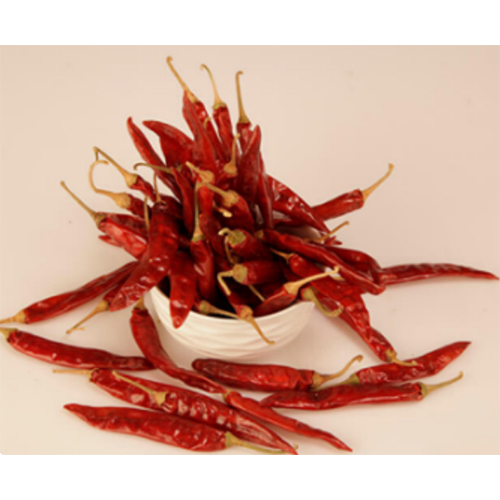 S17 Teja Red Chilly