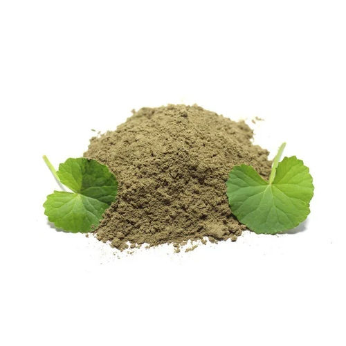 Dried Brahmi Powder - Grade: Pharma Grade