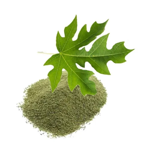 Papaya Leaves Powder