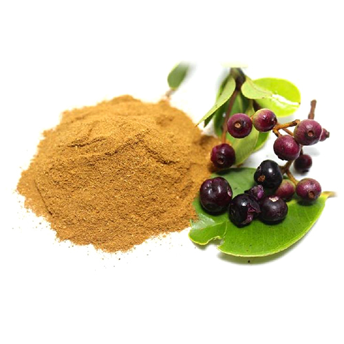Jamun Powder