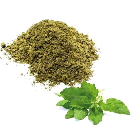 Dried Tulsi Powder - Grade: Medicine Grade