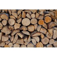 Wood Log Timber - Feature: High Quality