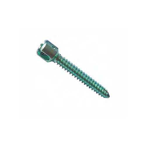 Mini Mono Axial Screw - Grade: Industrial