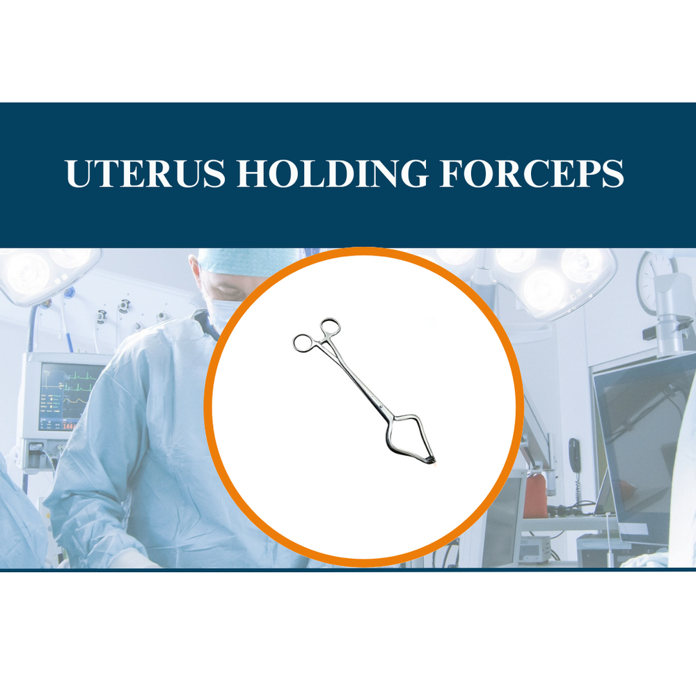 Uterus Holding Forceps - Stainless Steel 21cm Silver | Ergonomic Ring Handles Ratchet Locking Serrated Curved/Straight Jaws