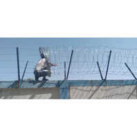 Barbed Wire Fencing Installation Services