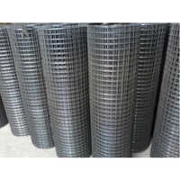 Galvanized Iron Welded Wire Mesh
