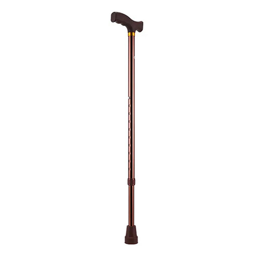 Walking Stick with handle