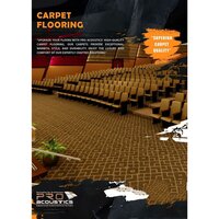 Theater Carpet Flooring - Color: Multicolor