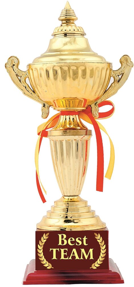 Team Player Award Trophy - Style: Artificial