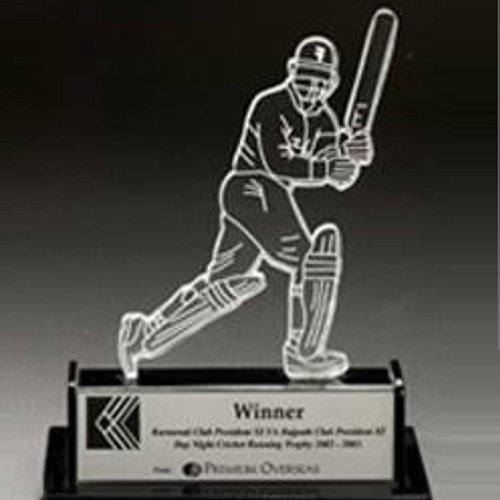 Cricket Trophy - Style: Artificial