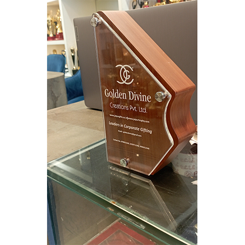 Golden Divine Award Trophy - Color: Brown