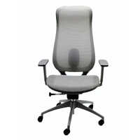 Designer Grey Executive Chair - Application: Office