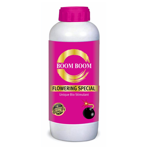 Boom Booom Flowering Special