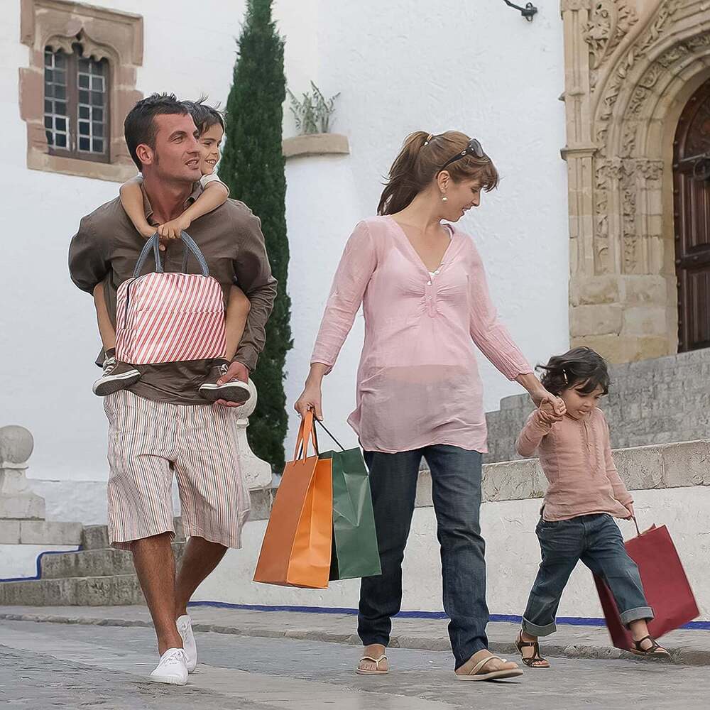 Lunch Bag Portable Insulated Lunch Box Bags With Zipper Closer & Handles